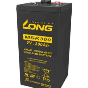 供应台湾LONG广隆蓄电池MSK300 质量是天 信誉是命 质优价廉 诚赢天下
