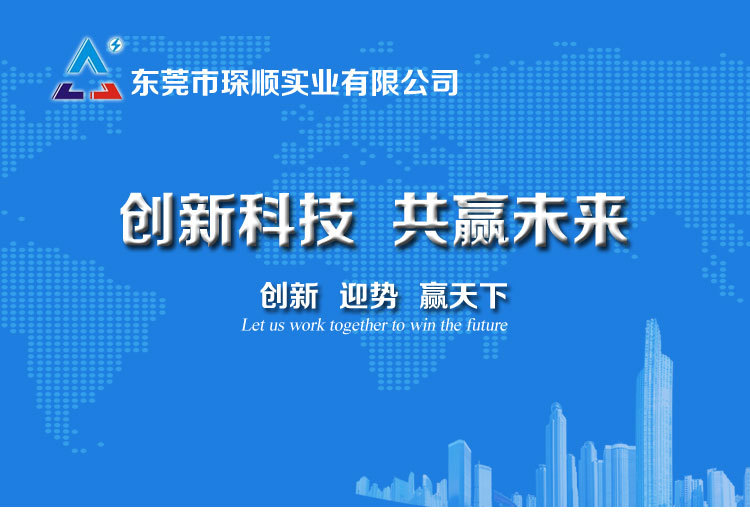 东莞市琛顺实业有限公司_01