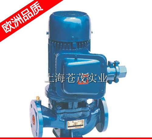 防爆抽油泵 防爆电动抽油泵 YG40-125型   
