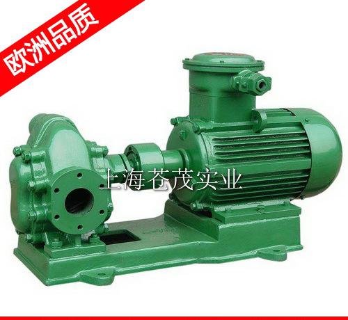 柴油齿轮泵 柴油齿轮油泵 KCB300 良品