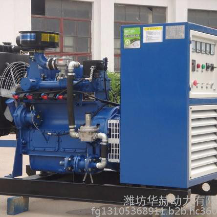 潍坊10kw燃气发电机组 小型养殖专用沼气发电机10千瓦 