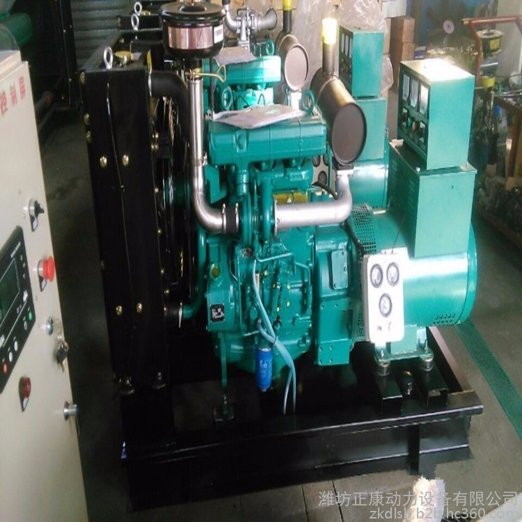潍柴股份40千瓦三相无刷发电机 热压机专用40kw小型柴油发电机组