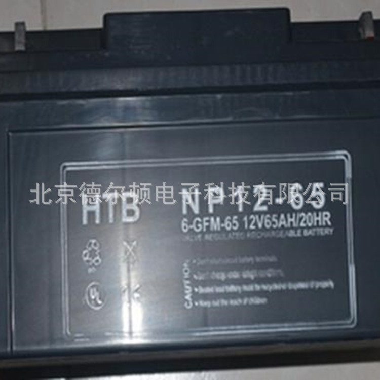 HTB蓄电池NP12-38，12V38AH免维护蓄电池 UPS电源直流屏