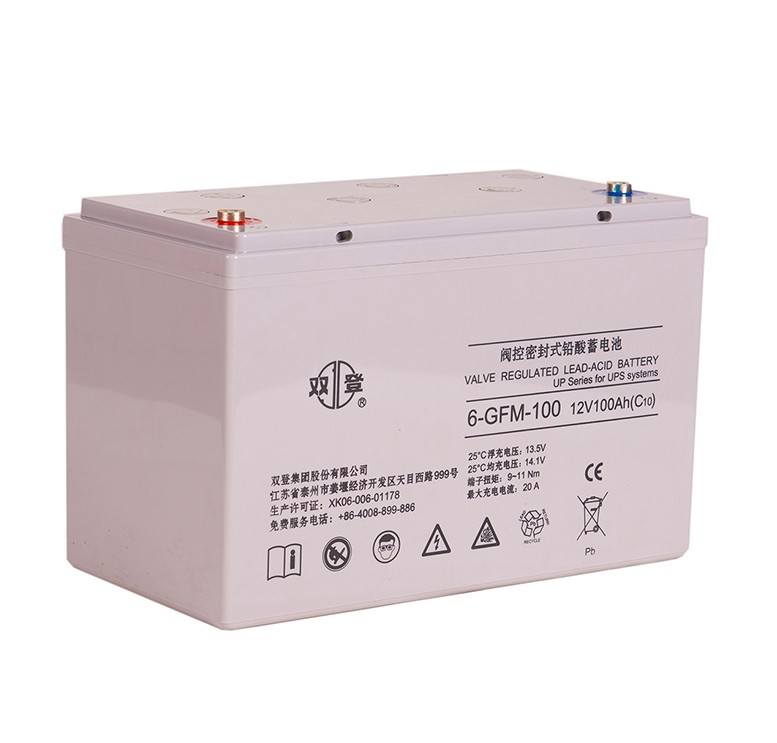 12V100a