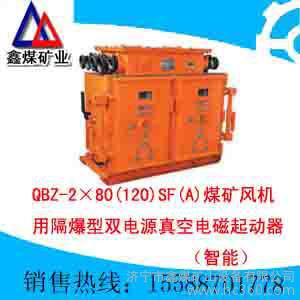 供应QBZ-2×80(120)SF(A)正压型防爆配电柜