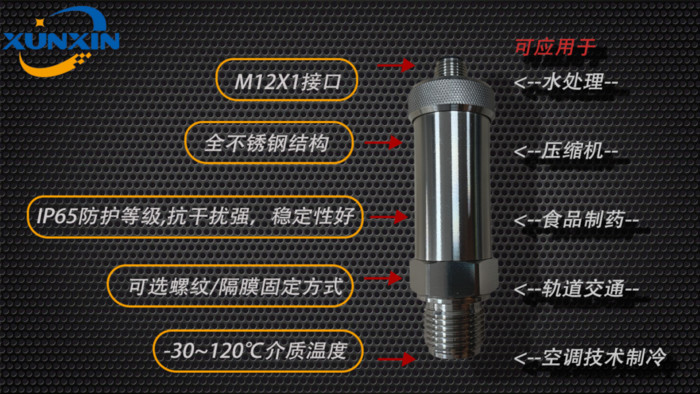 迅芯XP3110 螺纹压力变送器，可定制螺纹与隔膜连接 -1~60bar测量范围