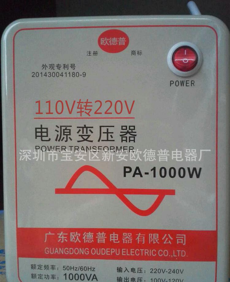 PA1000W 110V转220V (8)