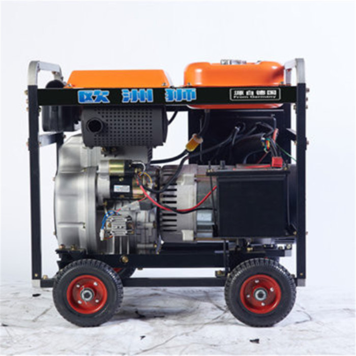 欧洲狮 250A柴油发电 TO250A静音柴油发电机