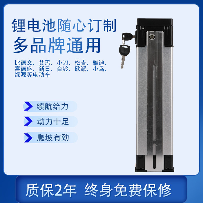 济南胜康 48v10ah  48V锂电池 代驾车锂电池 48伏10安锂电池 48v锂电池