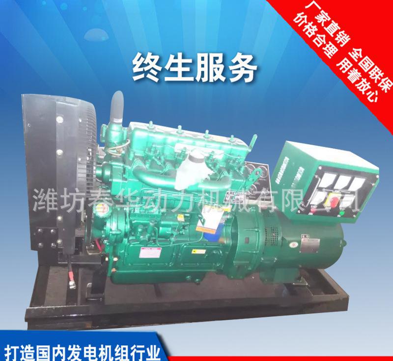潍柴系列柴油发电机组 小型柴油发电机组  潍坊4100发动机 养鱼专用
