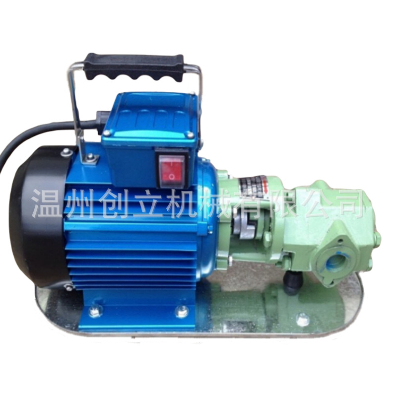 生产微型齿轮泵抽油泵便携式手提加油泵质量保证