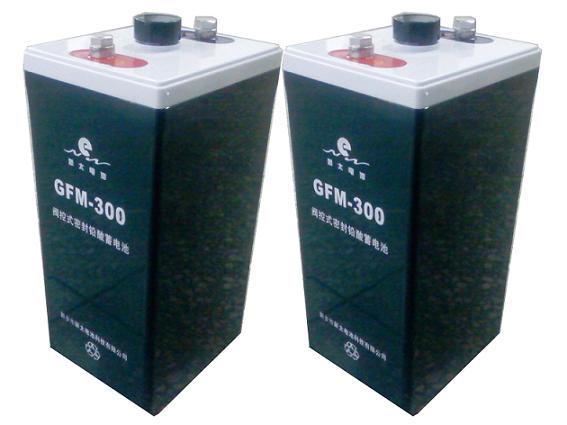 铅酸蓄电池GFM-300