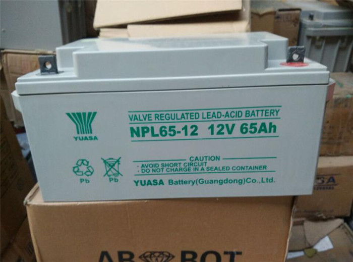 汤浅NPL165-12蓄电池，12V65ah电池.免维护蓄电池批发