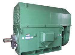 郴州西玛电机YKS4504-10 200KW 6KV 590R高压电动机