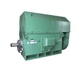 专业工业机械电机YKS8004-8 3550KW 6KV 740R高压电动机