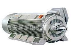 西安西玛电机Y2-3552-2 200KW 6KV高压电动机