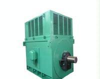 电机制造西安电机厂YR8003-4 5600KW/6KV三相异步电动机