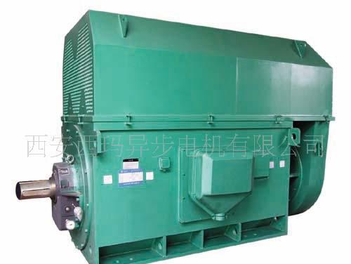 机械电机YKS8001-4 5000KW 6KV 1490R 高压电动机