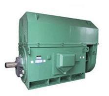 西安电机厂 西玛电机YR8001-4 4500KW/6KV三相异步电动机