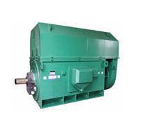 西安专业电机Y2-3555-4 280KW 6KV高压三相异步电动机