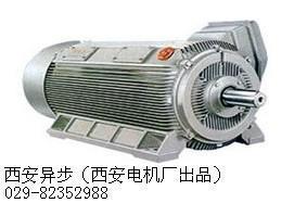 西安泰富西玛专业生产Y2-3554-2 250KW 6KV 三相异步电动机