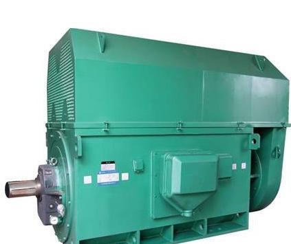 泰富西玛电机 Y900-4 8000kW 10kV高压三相电动机