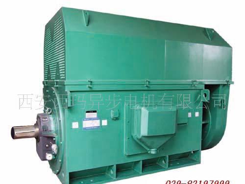 压缩机用电机Y系列Y4507-12 200KW 6KV高压三相异步电动机