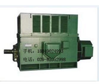 西安电机厂 Y500-4 1120kW 10kV高压异步电动机