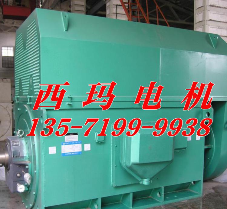 西玛电机 Y系列Y5601-4 1600KW 6KV 高压三相异步电动机