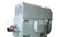 西安电机厂生产的西玛牌Y系列Y10001-6 8000kw/6kv高压电动机
