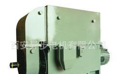 西安电机厂西玛电机 YR7103-6 2500KW/6KV三相异步电动机