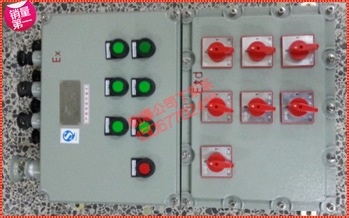BXM-6K防爆照明配电箱 1进6出防爆照明开关箱 防爆照明配电箱订做