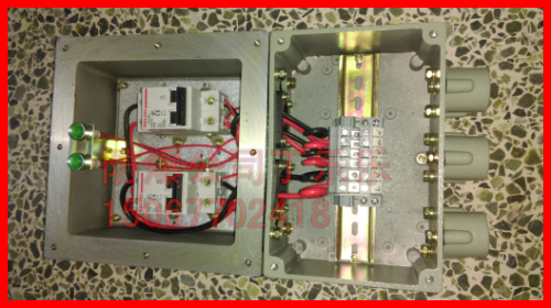 2路防爆照明配电箱 2路防爆配电箱 BXM-2 BXM61-2防爆照明配电箱