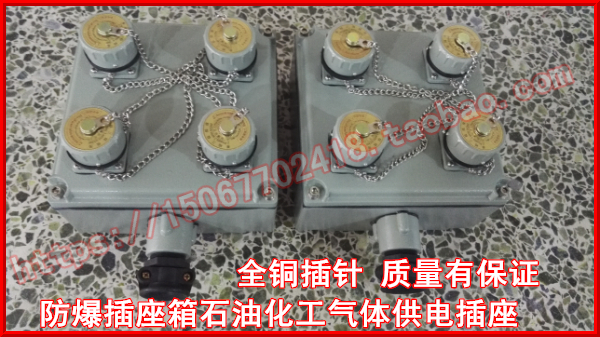 XXB58-4防爆插座箱 装4个16A插销防爆箱 石油化工专用防爆插座箱