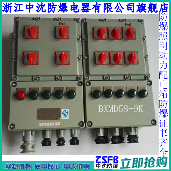 BXMD58-9K防爆照明（动力）配电箱直销 1进9出防爆配电箱价格