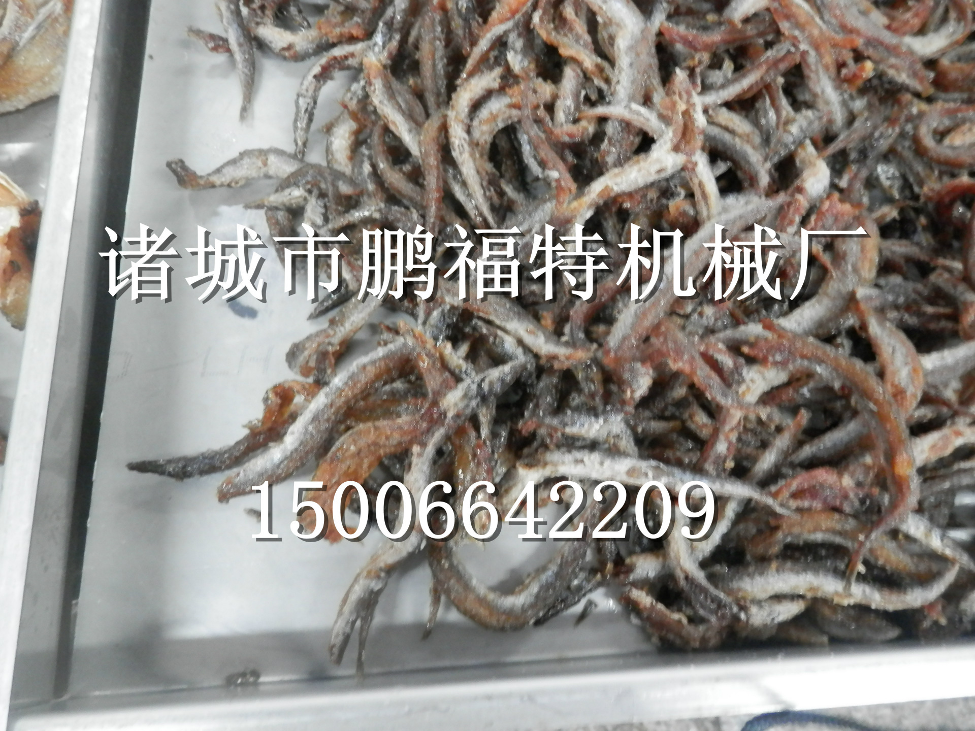 PB050537_副本