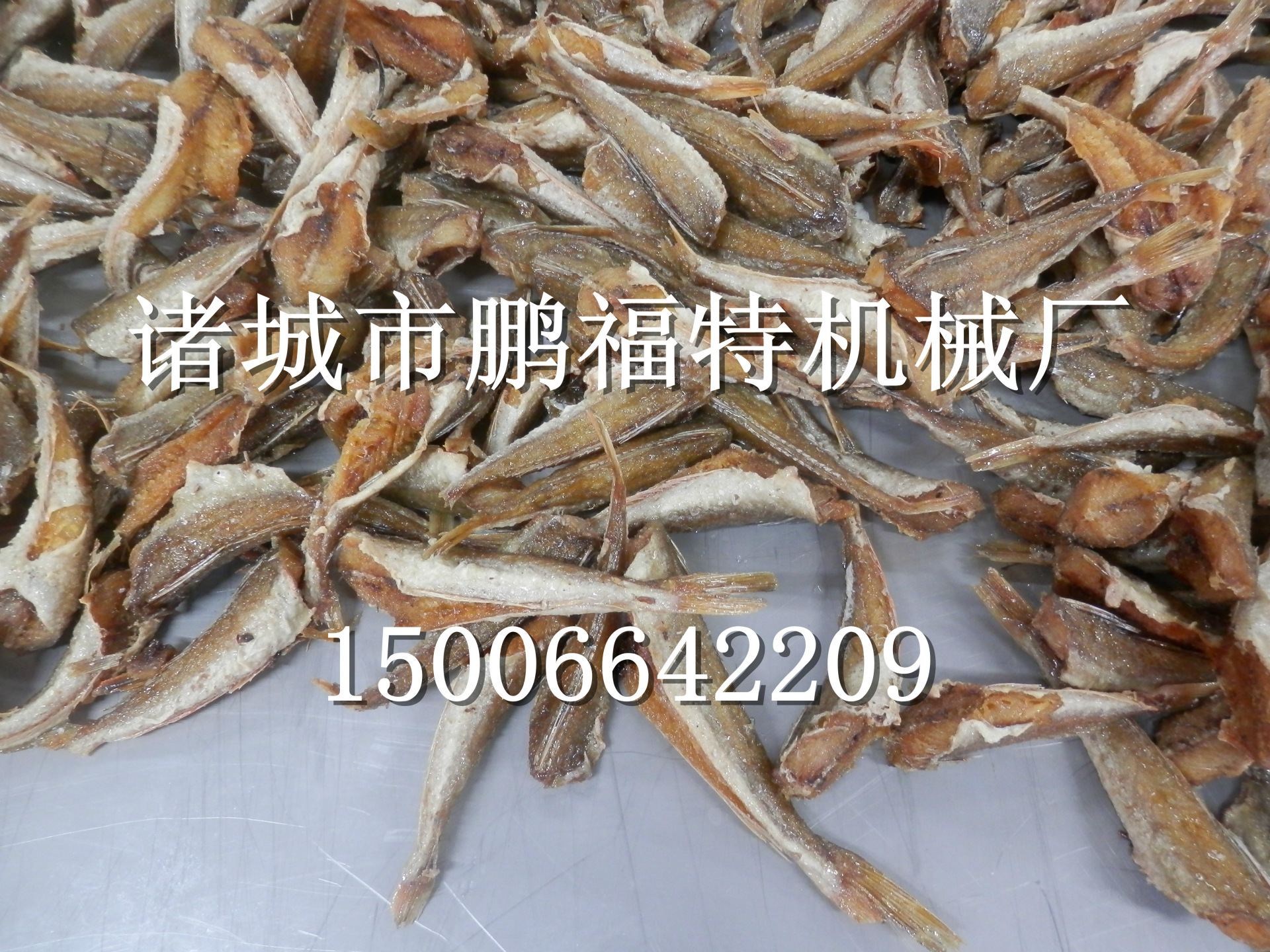 PB050536_副本