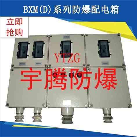 BXM(D)系列防爆配电箱6